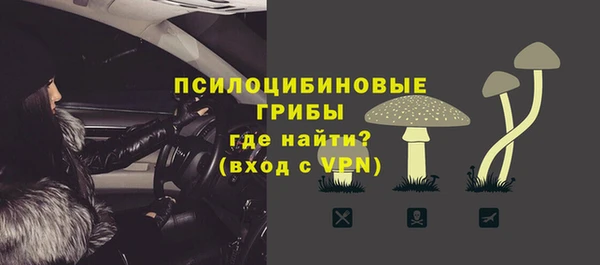 шишки Куйбышев