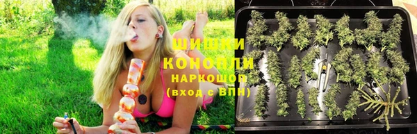 шишки Куйбышев