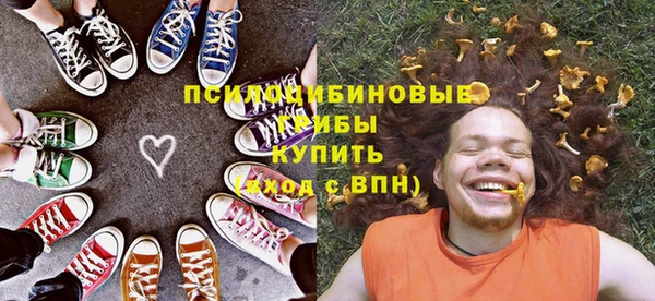 шишки Куйбышев