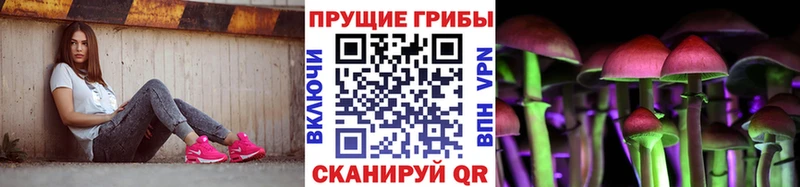 Псилоцибиновые грибы Psilocybine cubensis  МЕГА ССЫЛКА  Черемхово  наркотики 