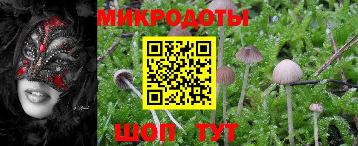 Галлюциногенные грибы Psilocybe  Галлюциногенные грибы мицелий  Вход с VPN  Черемхово 